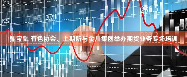 鼎宝融 有色协会、上期所与金川集团举办期货业务专场培训