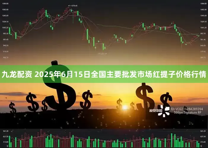 九龙配资 2025年6月15日全国主要批发市场红提子价格行情
